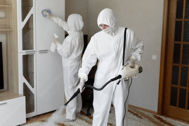 Professional Mold Remediation in Shoreacres, TX