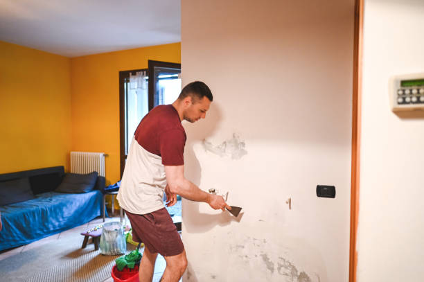 Best Health and Safety Mold Remediation in Shoreacres, TX
