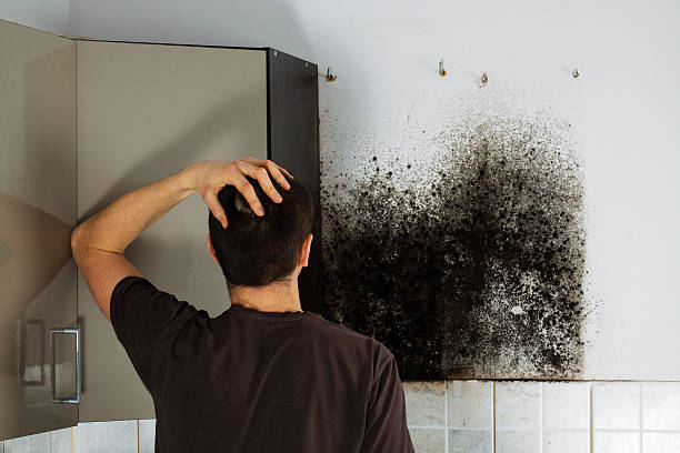 Best Bathroom Mold Remediation in Shoreacres, TX